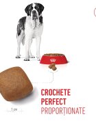 Royal Canin Giant Junior hrană uscată câini junior etapa 2 de creștere 15kg