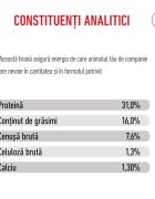 Royal Canin Giant Junior hrană uscată câini junior etapa 2 de creștere 15kg