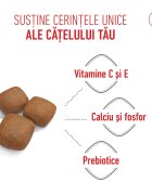Royal Canin Giant Junior hrană uscată câini junior etapa 2 de creștere 3.5kg