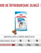 Royal Canin Giant Junior hrană uscată câini junior etapa 2 de creștere 3.5kg