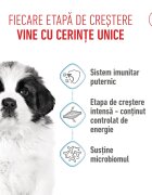 Royal Canin Giant Puppy hrană uscată câini junior etapa 1 de creștere 3.5kg