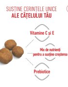 Royal Canin Giant Puppy hrană uscată câini junior etapa 1 de creștere 3.5kg