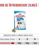 Royal Canin Giant Puppy hrană uscată câini junior etapa 1 de creștere 3.5kg