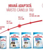 Royal Canin Giant Puppy hrană uscată câini junior etapa 1 de creștere 3.5kg