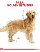 Royal Canin Golden Retriever Adult hrană uscată câini 3kg