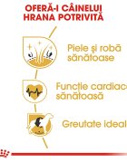 Royal Canin Golden Retriever Adult hrană uscată câini 3kg