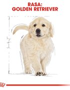 Royal Canin Golden Retriever Puppy hrană uscată câini junior 12kg