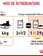 Royal Canin Hair & Skin Care Adult hrană umedă pisici piele & blană (în sos) 85g