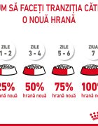Royal Canin Hair & Skin Care Adult hrană uscată pisici piele & blană 10kg