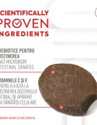 Royal Canin Immunity & Digestion Chews Puppy Supplements punguță recompense funcționale câini junior sistem imunitar sistem digestiv 100g