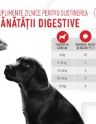 Royal Canin Immunity & Digestion Chews Puppy Supplements punguță recompense funcționale câini junior sistem imunitar sistem digestiv 100g