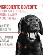 Royal Canin Immunity & Digestion Chews Puppy Supplements punguță recompense funcționale câini junior sistem imunitar sistem digestiv 100g