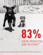 Royal Canin Immunity & Digestion Chews Puppy Supplements punguță recompense funcționale câini junior sistem imunitar sistem digestiv 100g