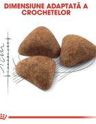 Royal Canin Indoor Adult hrană uscată pisici de interior 10kg