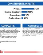 Royal Canin Indoor Adult hrană uscată pisici de interior 10kg