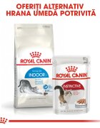 Royal Canin Indoor Adult hrană uscată pisici de interior 10kg