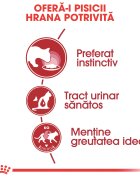Royal Canin Instinctive Adult hrană umedă pisici (în aspic) bax 85g x 12buc