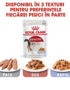 Royal Canin Instinctive Adult hrană umedă pisici (în aspic) bax 85g x 12buc