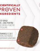 Royal Canin Joint & Ageing Chews Adult Supplements punguță recompense funcționale câini sistem articular 240g