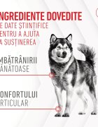 Royal Canin Joint & Ageing Chews Adult Supplements punguță recompense funcționale câini sistem articular 240g