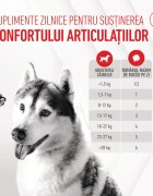 Royal Canin Joint & Ageing Chews Adult Supplements punguță recompense funcționale câini sistem articular 240g