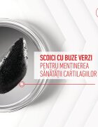 Royal Canin Joint & Ageing Chews Adult Supplements punguță recompense funcționale câini sistem articular 240g