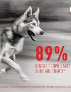Royal Canin Joint & Ageing Chews Adult Supplements punguță recompense funcționale câini sistem articular 240g