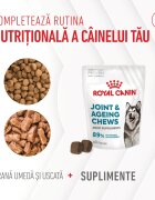 Royal Canin Joint & Ageing Chews Adult Supplements punguță recompense funcționale câini sistem articular 240g