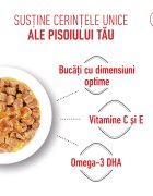 Royal Canin Kitten hrană umedă pisici (în aspic) 85g