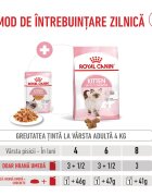 Royal Canin Kitten hrană umedă pisici (în aspic) 85g
