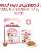 Royal Canin Kitten hrană umedă pisici (în aspic) 85g