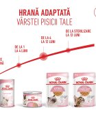 Royal Canin Kitten hrană umedă pisici (în aspic) bax 85g x 12buc