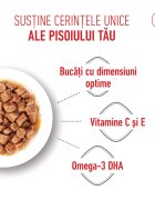 Royal Canin Kitten hrană umedă pisici junior (în sos) 85g