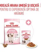 Royal Canin Kitten hrană umedă pisici junior (în sos) 85g