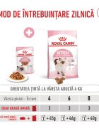 Royal Canin Kitten hrană umedă pisici junior (în sos) 85g