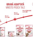 Royal Canin Kitten hrană umedă pisici junior (pate) 85g