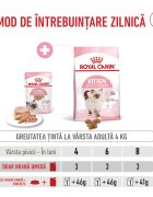 Royal Canin Kitten hrană umedă pisici junior (pate) bax 85g x 12buc