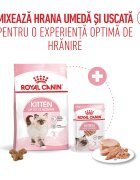 Royal Canin Kitten hrană umedă pisici junior (pate) bax 85g x 12buc