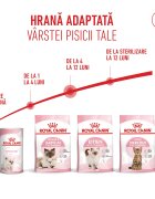 Royal Canin Kitten hrană uscată pisici junior 10kg