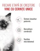 Royal Canin Kitten hrană uscată pisici junior 4kg