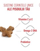 Royal Canin Kitten hrană uscată pisici junior 4kg