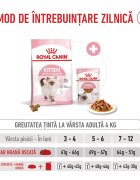 Royal Canin Kitten hrană uscată pisici junior 4kg