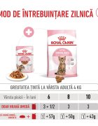 Royal Canin Kitten Sterilised hrană umedă pisici sterilizate junior (în sos) 85g