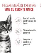 Royal Canin Kitten Sterilised hrană umedă pisici sterilizate junior (în sos) bax 85g x 12buc