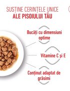 Royal Canin Kitten Sterilised hrană umedă pisici sterilizate junior (în sos) bax 85g x 12buc