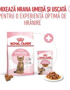 Royal Canin Kitten Sterilised hrană umedă pisici sterilizate junior (în sos) bax 85g x 12buc