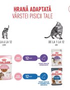 Royal Canin Kitten Sterilised hrană umedă pisici sterilizate junior (în sos) bax 85g x 12buc