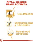 Royal Canin Labrador Adult hrană uscată câini 12kg