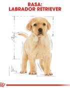 Royal Canin Labrador Puppy hrană uscată câini junior 12kg