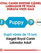 Royal Canin Labrador Puppy hrană uscată câini junior 12kg